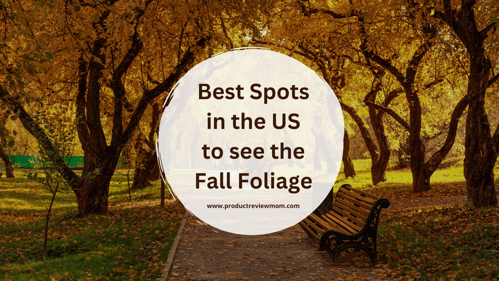 Best Spots in the US to see the Fall Foliage